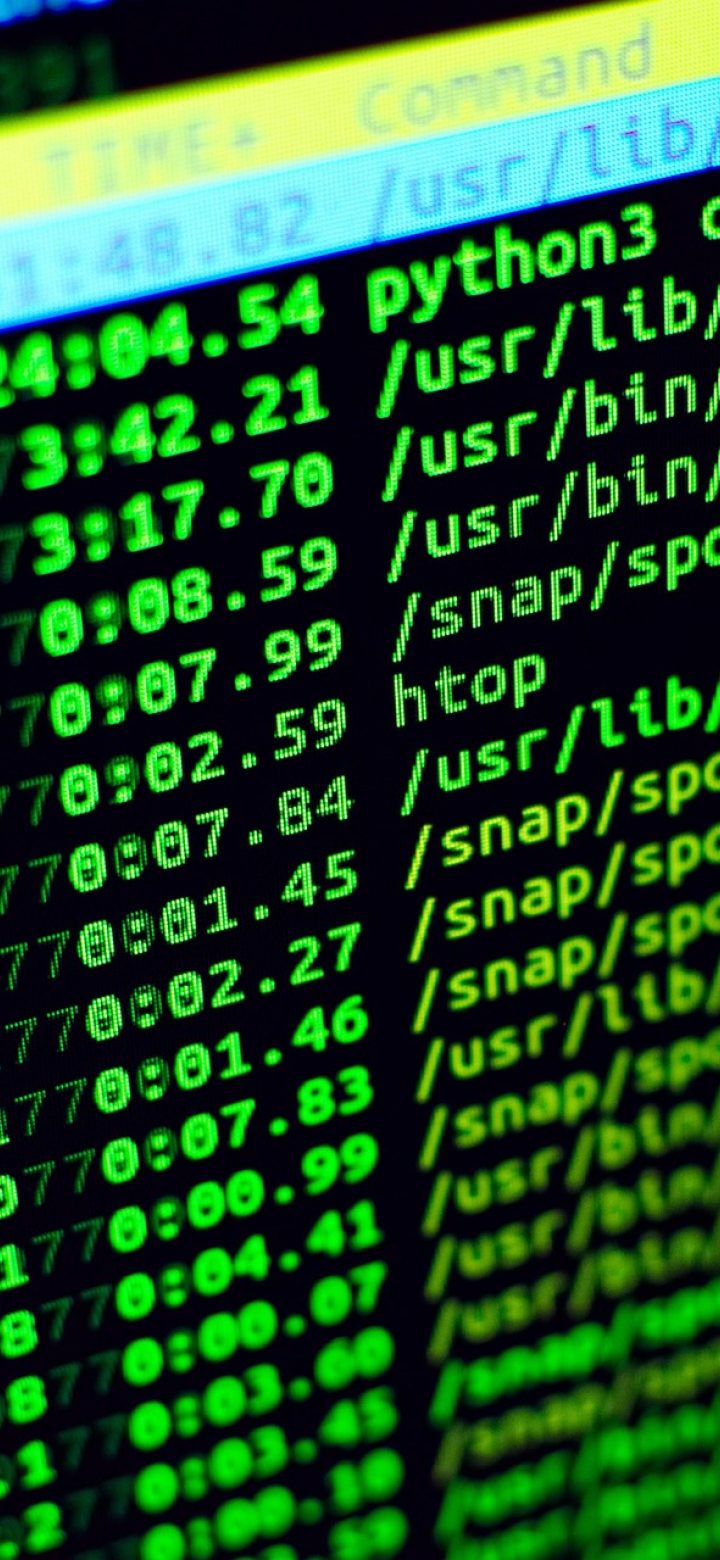 biib 导出设置界面截图，列出几种文本格式选项与勾选范围，底部是蓝色填充的确认按钮